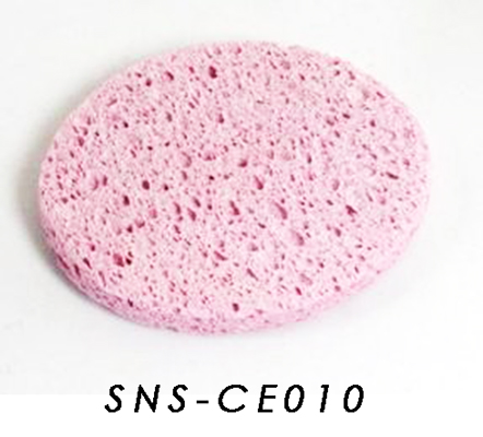 SNS-CE010