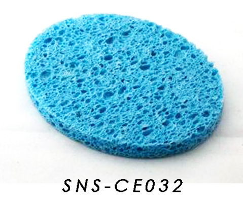 SNS-CE032