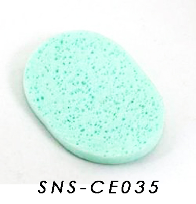 SNS-CE035