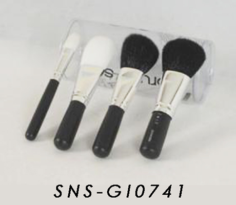 SNS-GI0741
