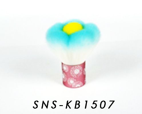 SNS-KB1507