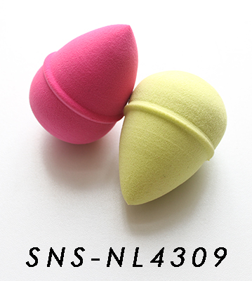 SNS-NL4309